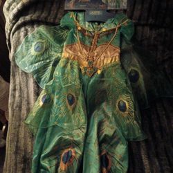 🧚Almost New Aladdin 🧞Jasmine Costume 🧚