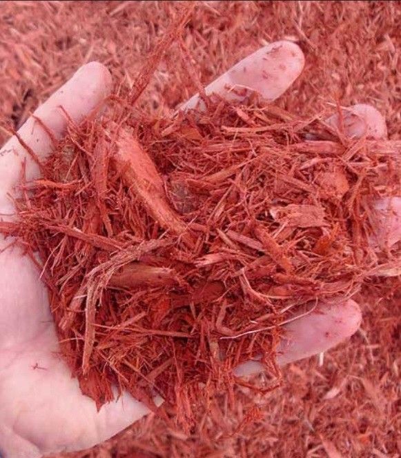 Paint, 1 Gallon.  Opened But Not Used