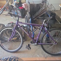 Mongoose Rockadile Mountain Bike 