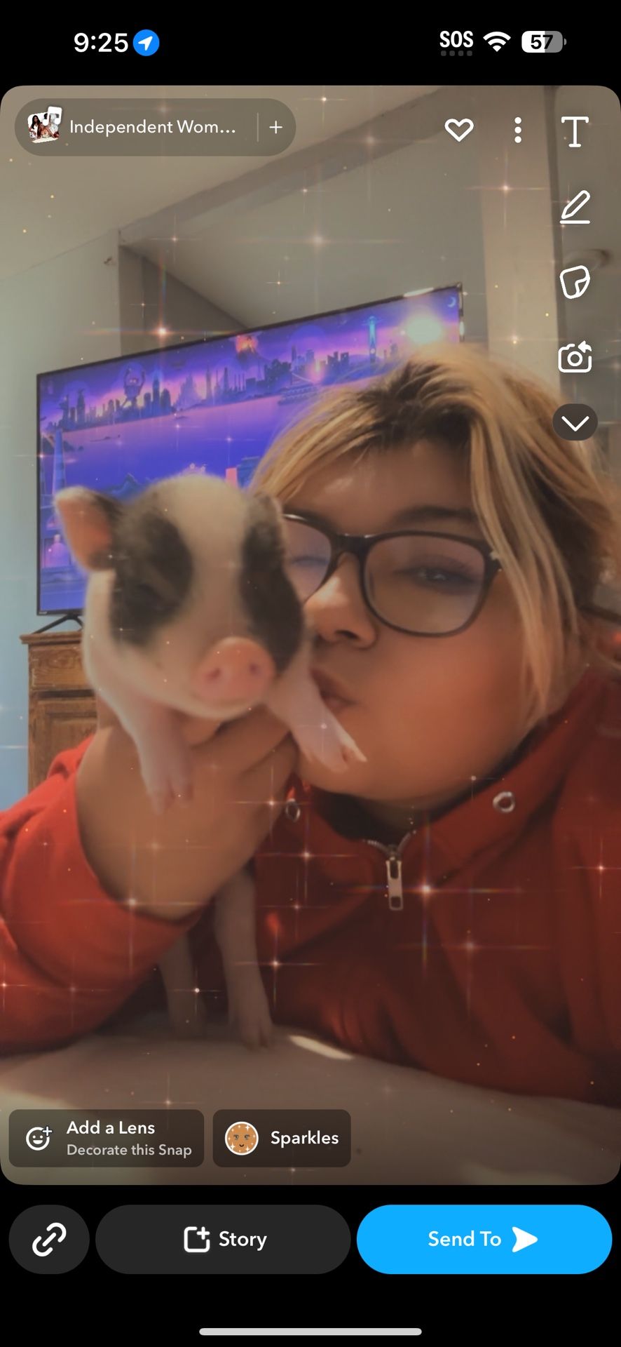 Pot Belly Piglets Both Boys