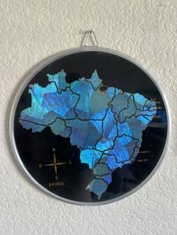 Map Of Brazil With Rare Butterfly Wings