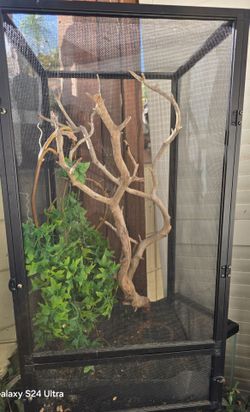 Chameleon cage