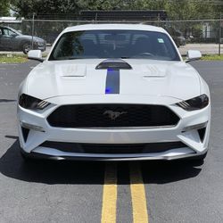 2019 FORD MUSTANG ECO PREMIUM 