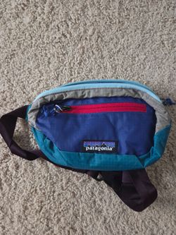 Patagonia mini hip pack