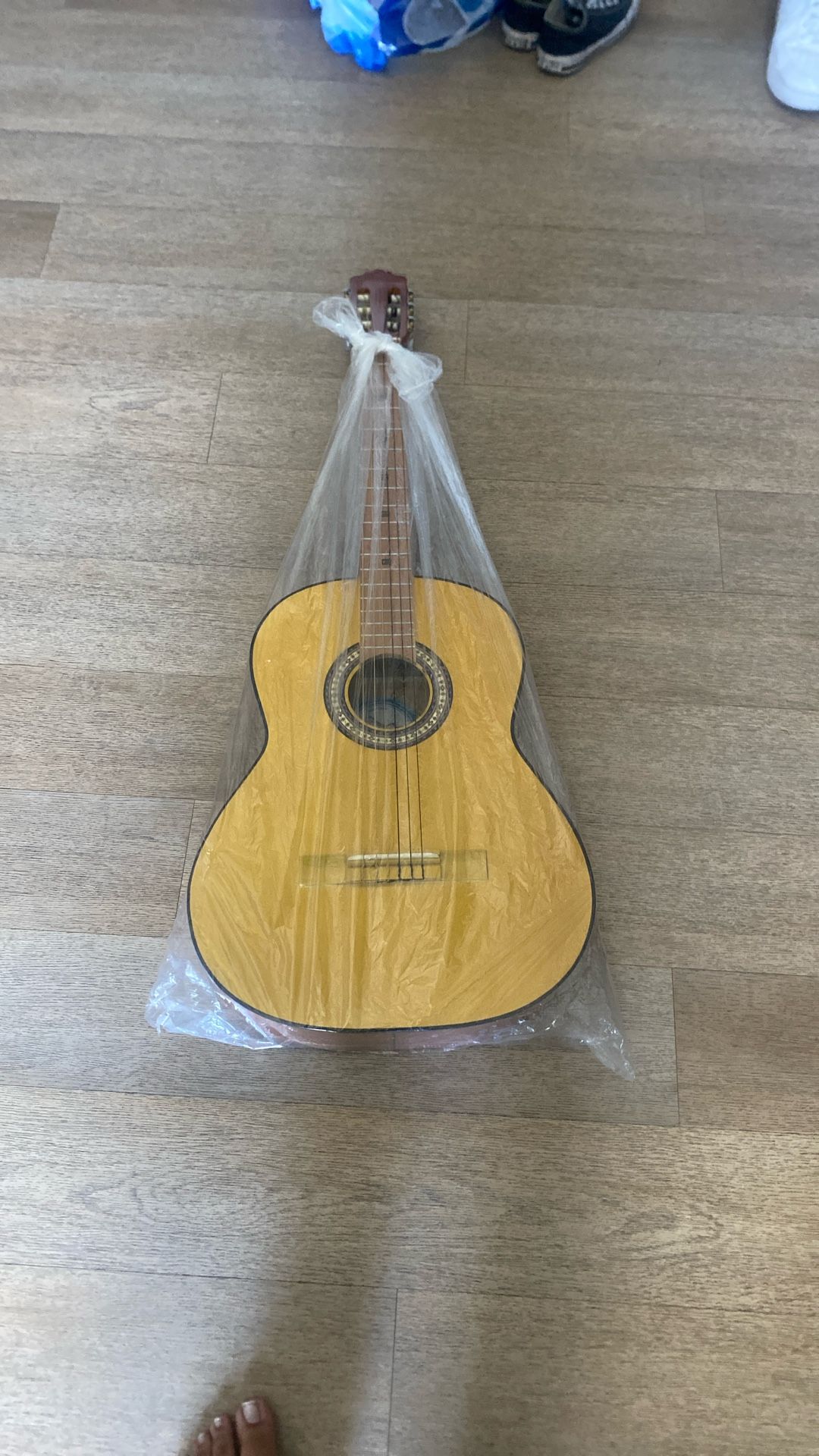 Guitar