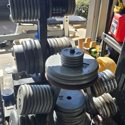 Standard 1inch Weights 