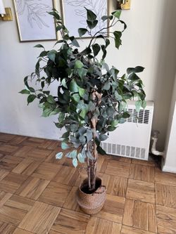 Faux Ficus Tree in Woven Basket