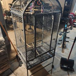 Bird Parrot Cage 
