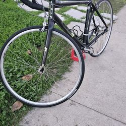 Road Bike 50"
