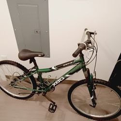 DBX resonance x adult bike