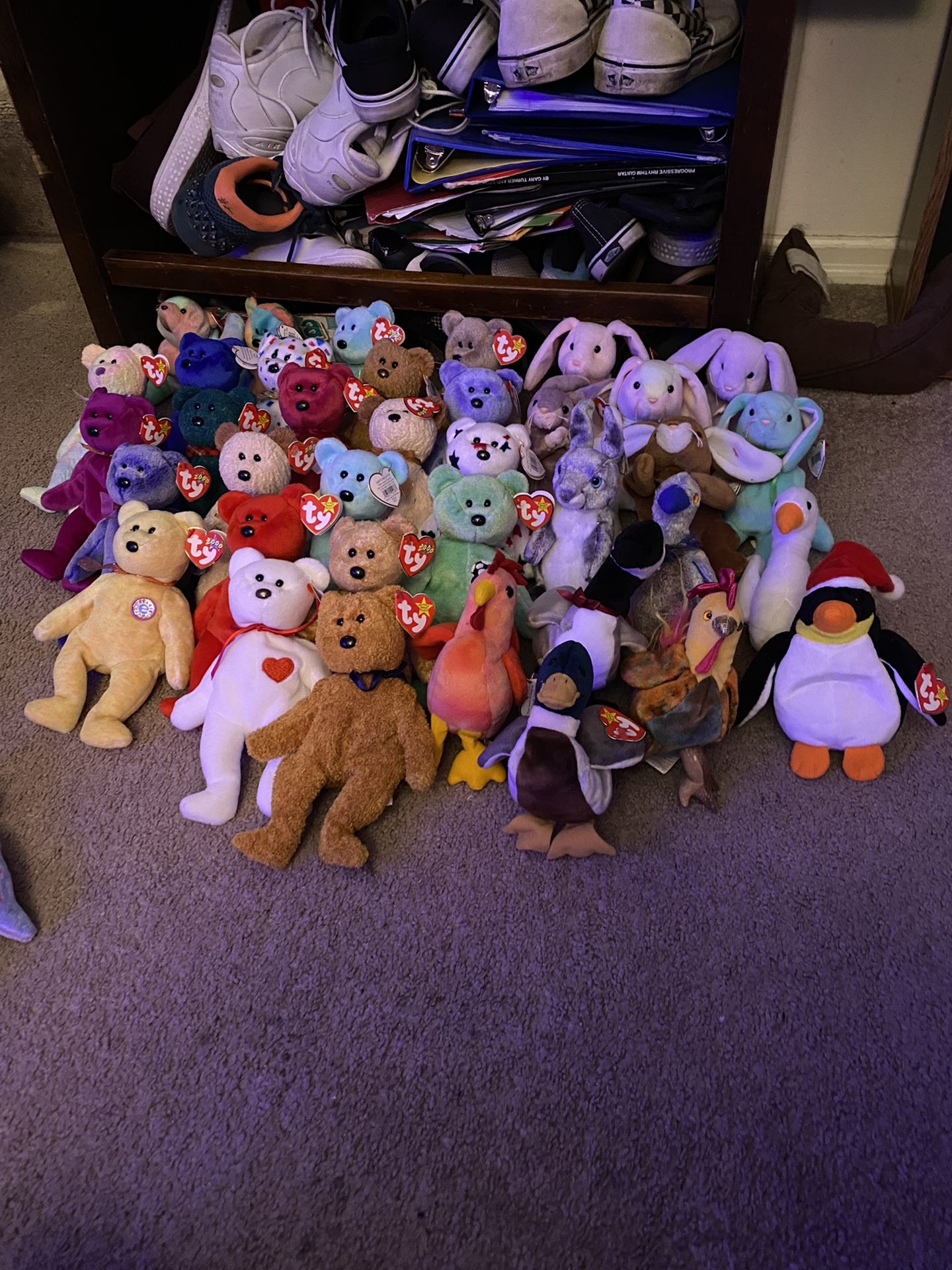 Beanie Baby Lot (part One)