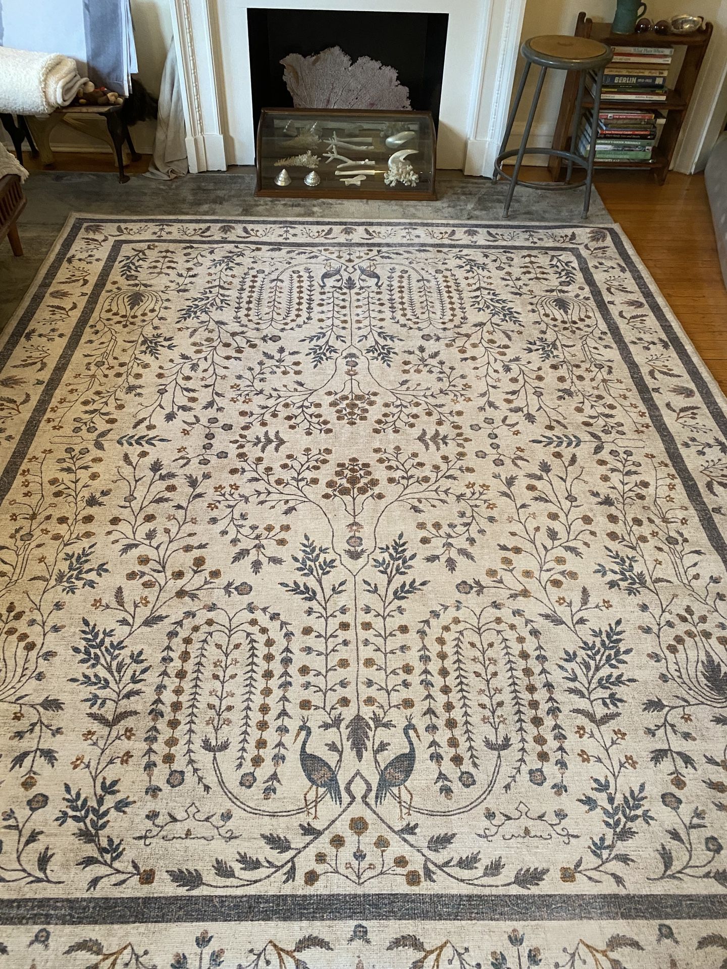 Rifle Paper Co x Loloi Large Area Rug