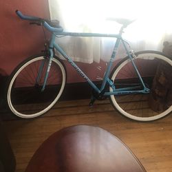 N.C Ripper 