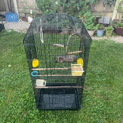 Bird Cage