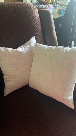 2  almohadas de plumas