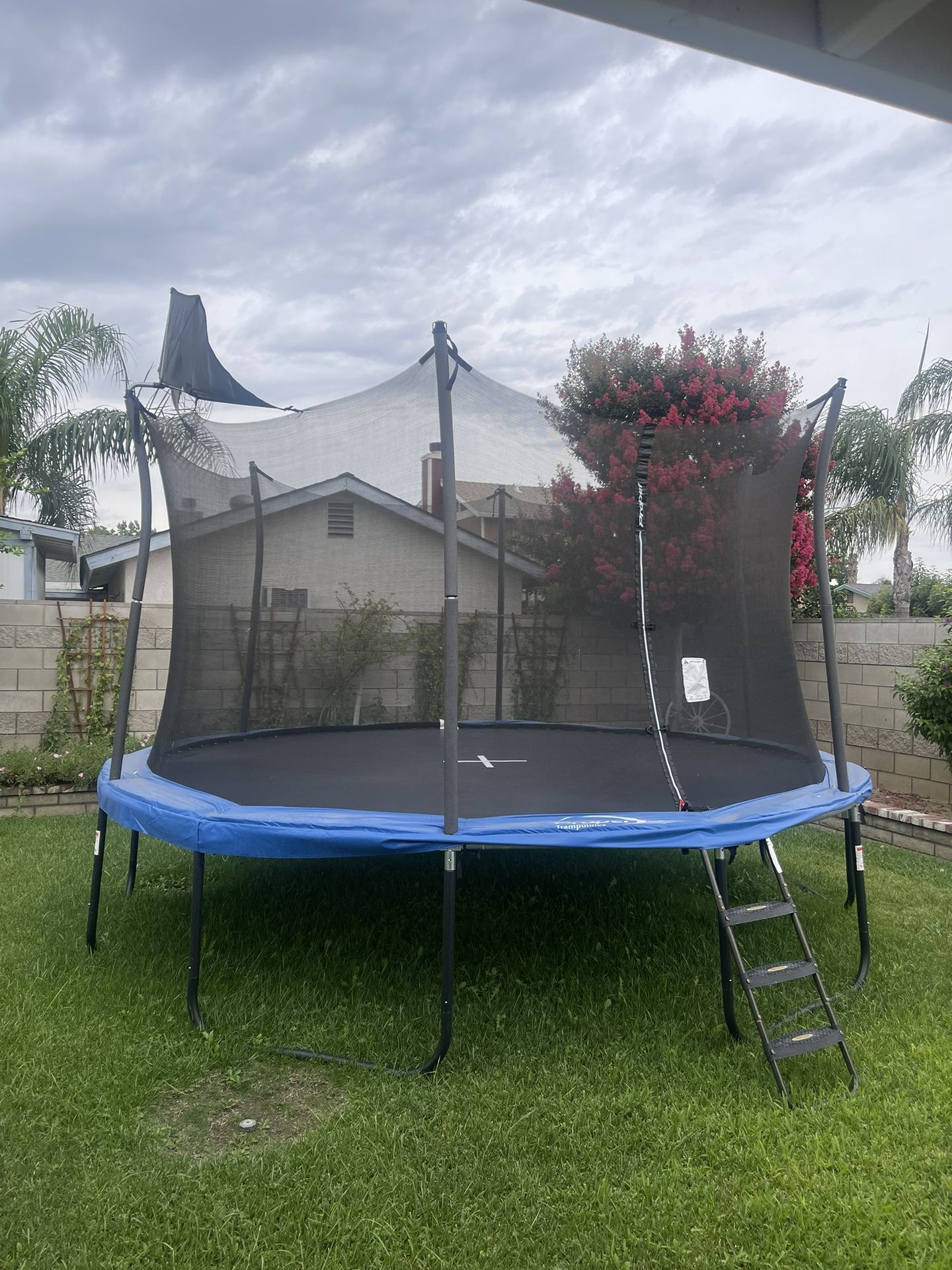 Propel 14' Heavy-Duty Pro Trampoline With Basketball Hoop