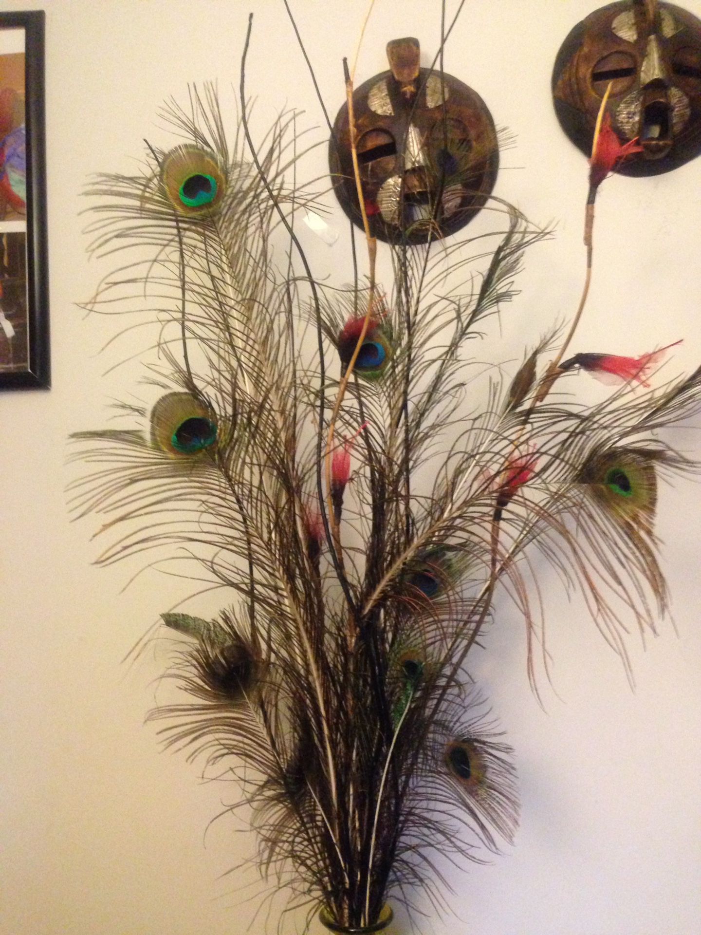 5'1" tall natural decor with real peacock feather