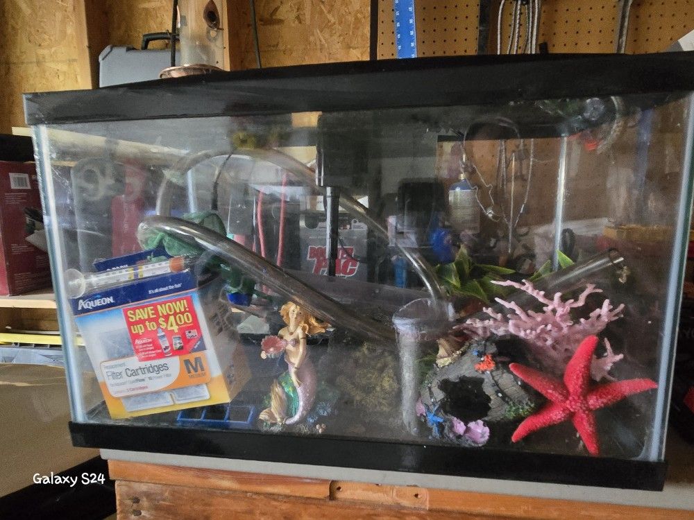 Fish Tank With Accessories