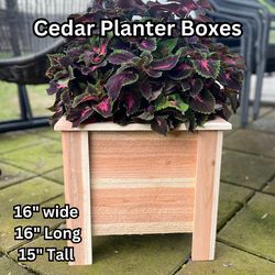 Cedar Planter Boxes - Rustic Farmhouse Style