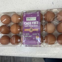 Eggs