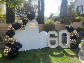 Balloon garland/Backdrop