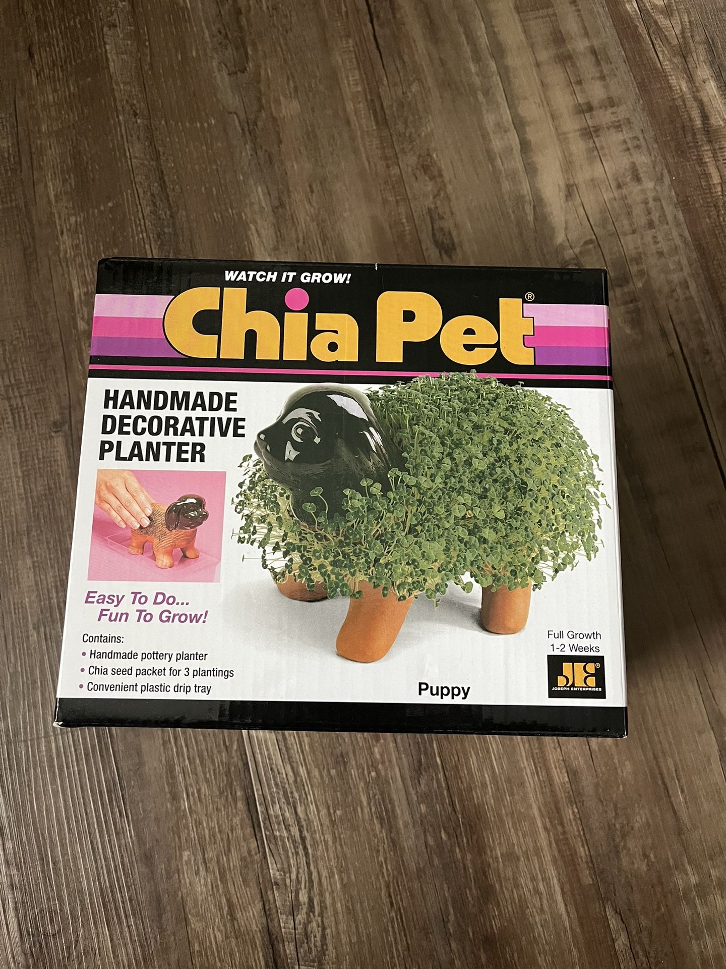 Chia Pet Puppy