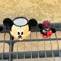 Disney Mickey Planter And Mickey & Minnie Plant