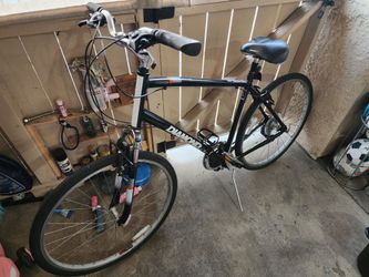Diamondback Edgewood XL Bicycle