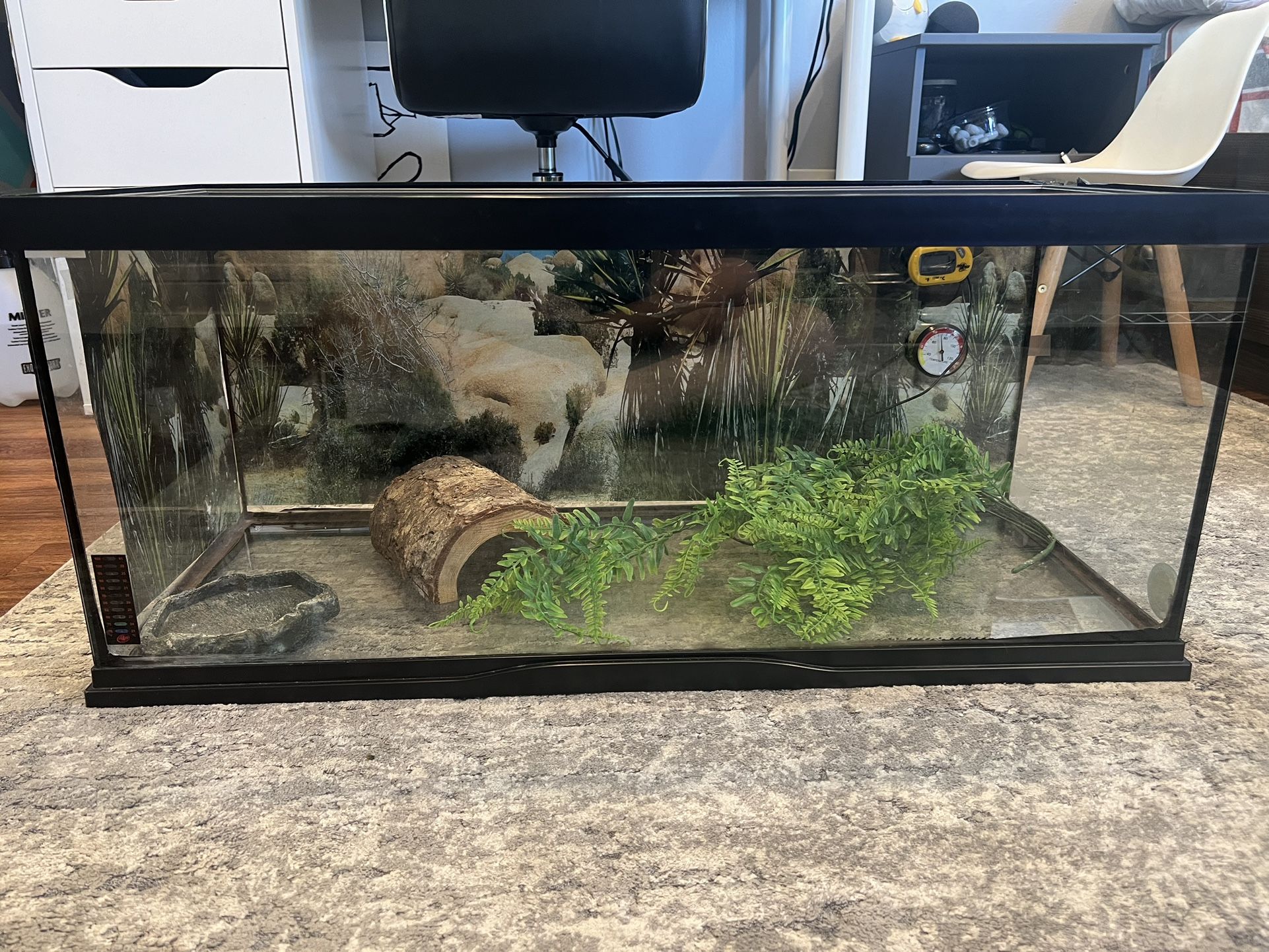 20 Gallon Long Tank