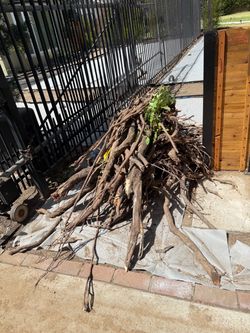 FREE branches