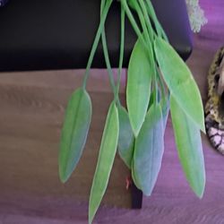 Artificial plant