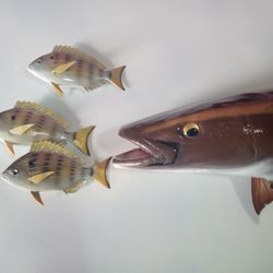 Pinfish / Baitfish Mounts 