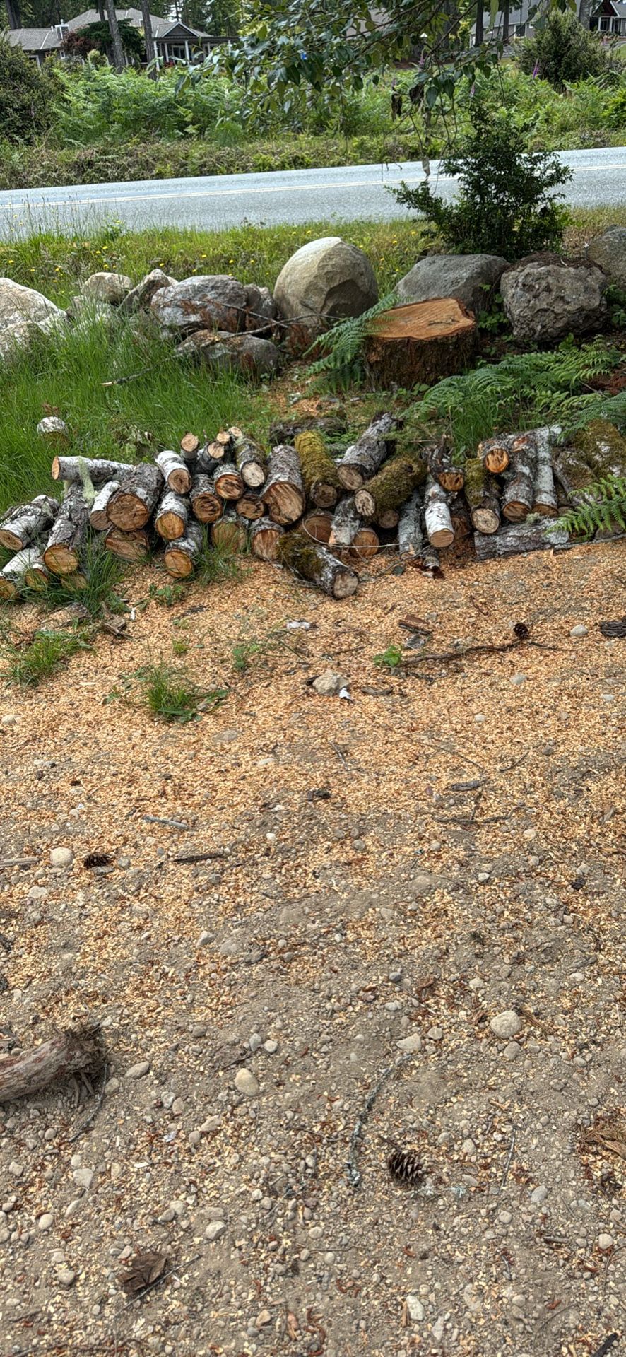 Firewood - 1/2 Cord - Some Chopped - Tree Still Need Choppec