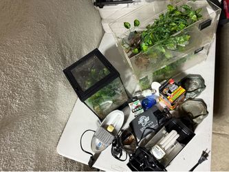 Reptile Supplies