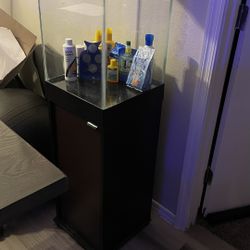 Fish Tank 