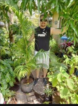 Large Areca Palm 7 Gallon Pot