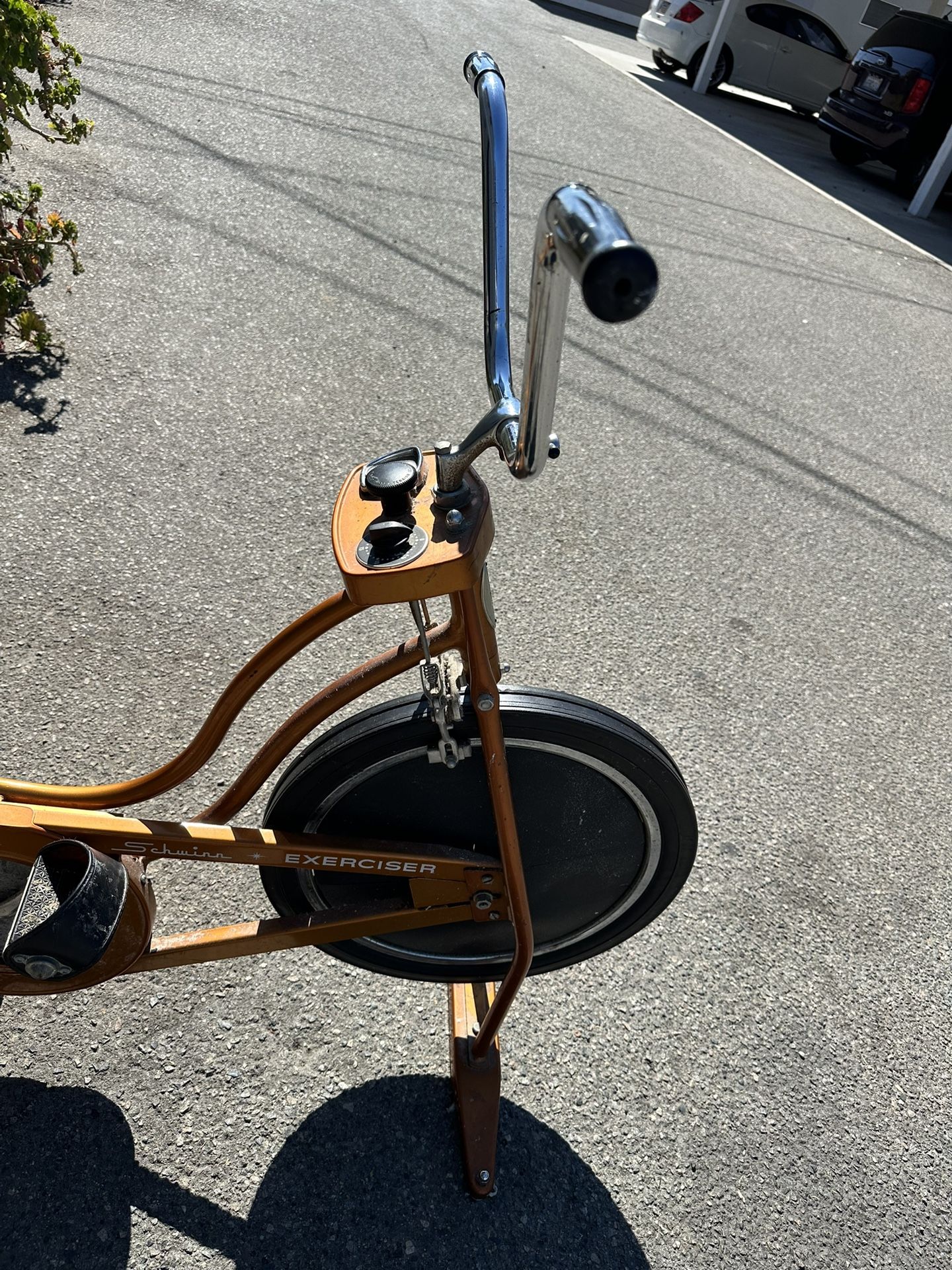 Schwinn Exercise Bicycle