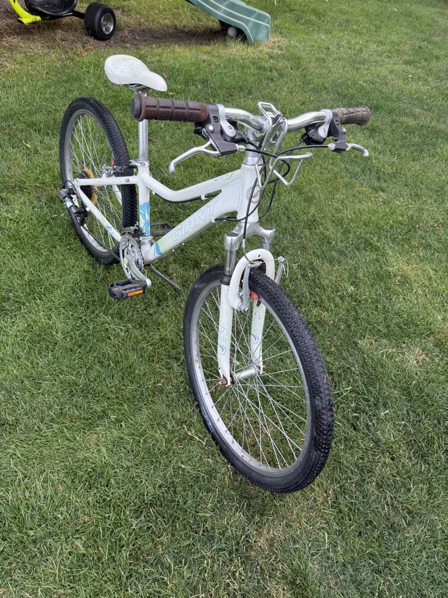 Giant Areva 24”