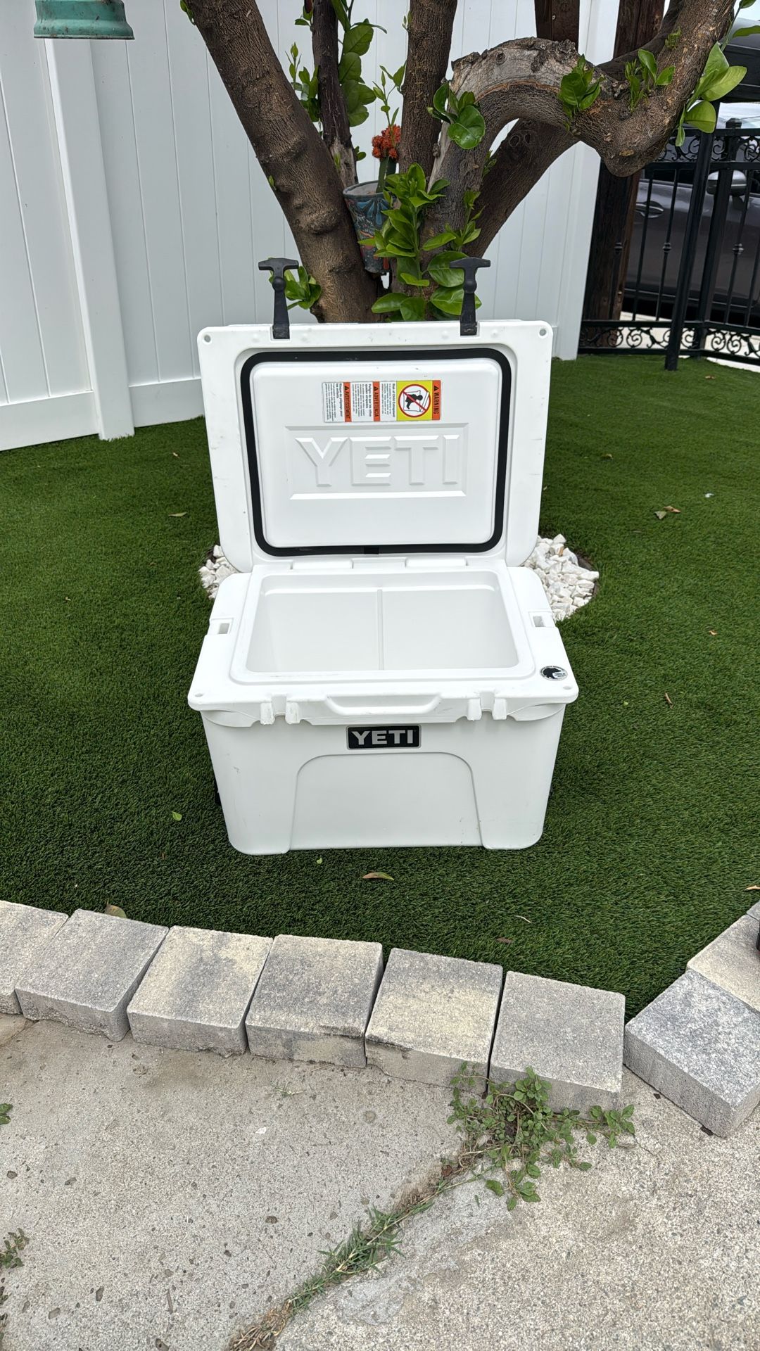 Yeti