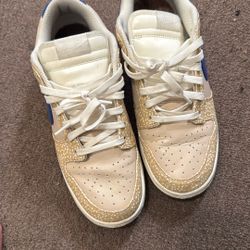 Nike Dunks