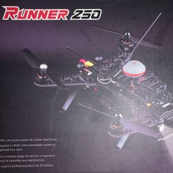 Walkera Runner 250