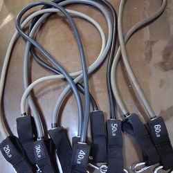 5 Elastic Bands of 20-30-40-50 and 60 Lbs (I Don't Have the Travel Bag)