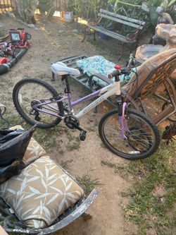 Schwinn bike