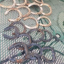 Horse Shoes