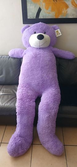 Very big bear
