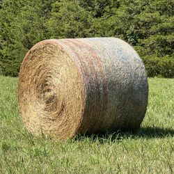 Hay For Sale