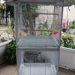 Bird Cage