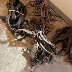 Horse Tack