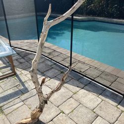 Driftwood large -49 Tall