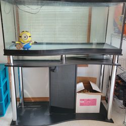 Large Fish Tank